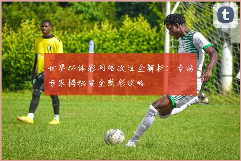 世界杯体彩网络投注全解析:专访专家揭秘安全购彩攻略
