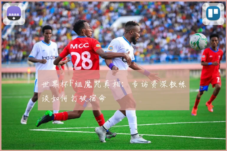 世界杯F组魔咒真相:专访资深教练谈如何打破宿命