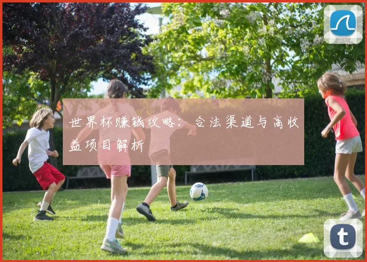 世界杯赚钱攻略:合法渠道与高收益项目解析