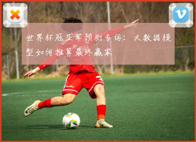 世界杯冠亚军预测专访：大数据模型如何推算最终赢家