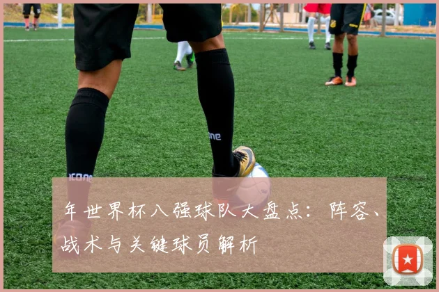 年世界杯八强球队大盘点:阵容、战术与关键球员解析