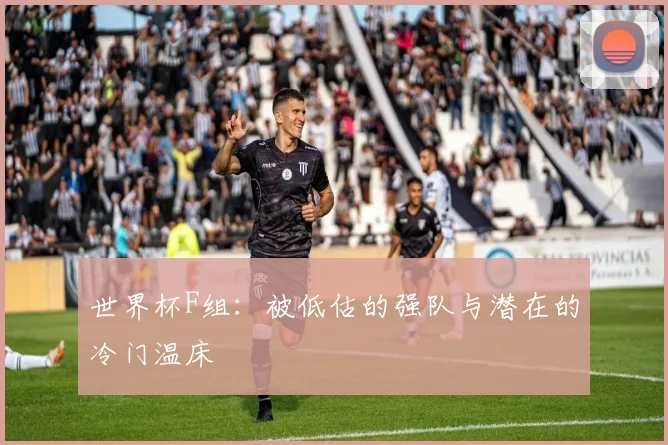世界杯F组:被低估的强队与潜在的冷门温床